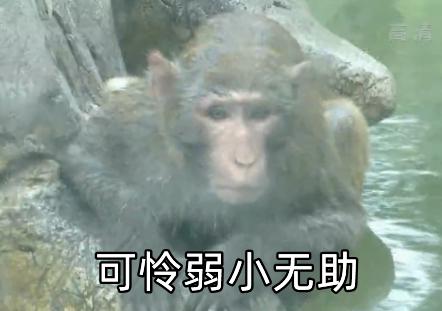 DƬ